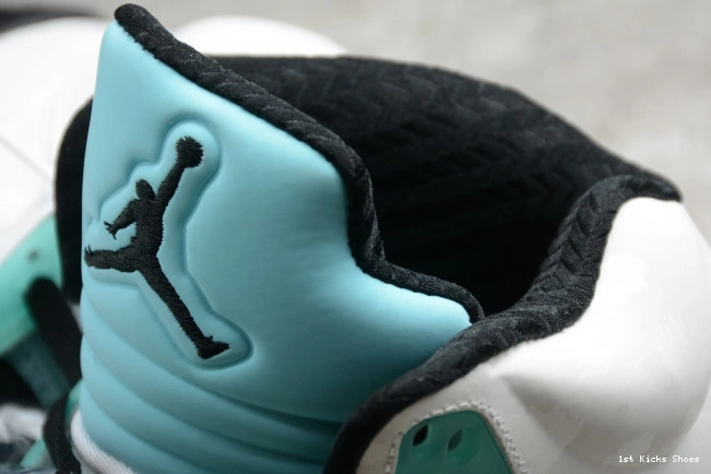 1st Kicks Shoes 5 Island GoAnywhere CN2932- Jordan Air Green 1087 1127